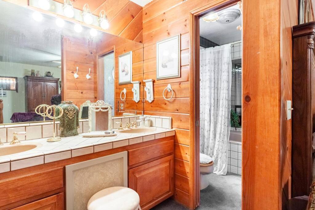 Lakeview 3-story Winter Holiday home